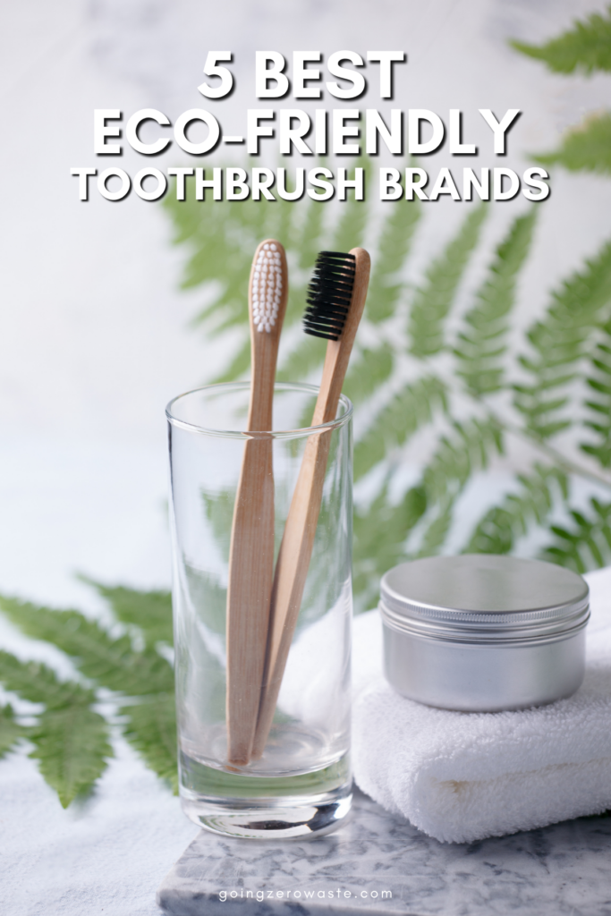 5 Best Eco Friendly Toothbrush Brands